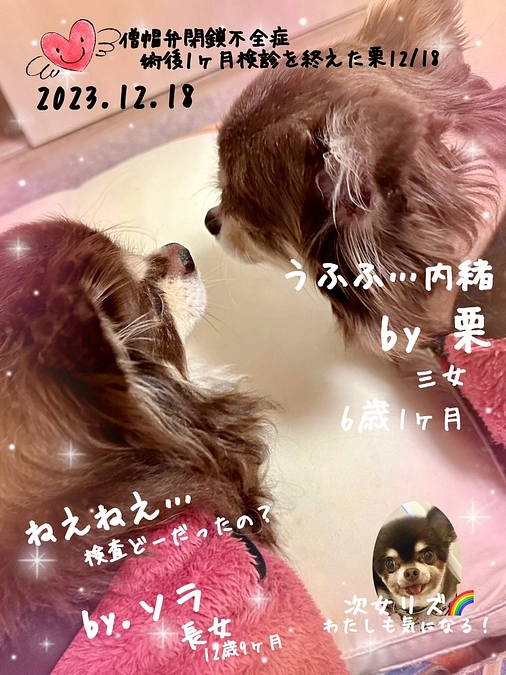 栗ちゃん　昨日は術後1ヶ月検診でした‼︎  お支払い、検診の流れになります。