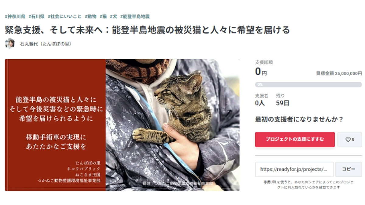 能登半島地震の被災猫のために、緊急支援を開始しました。一度お読みいただきご参加いただけたら嬉しいです