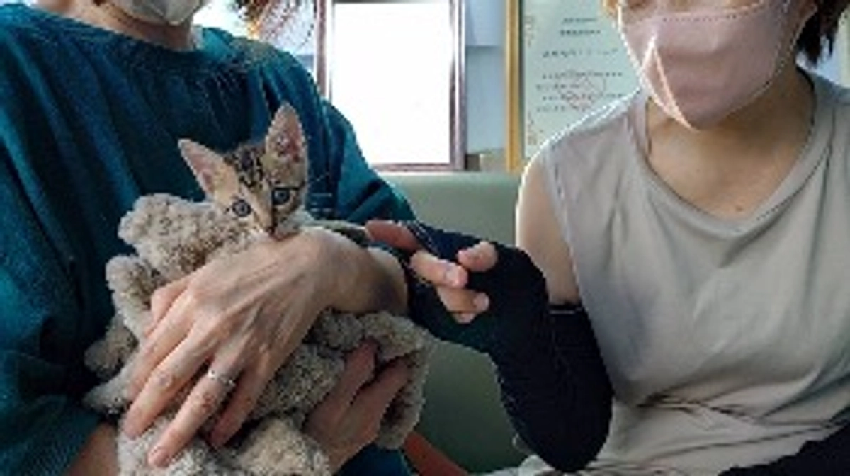 残り10日！命を守る！が第一！人と動物が一緒に避難できる施設開設をどうか実現させてください！