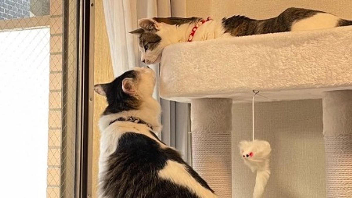 残り５日となりました！！ご協力をよろしくお願いいたします！！！