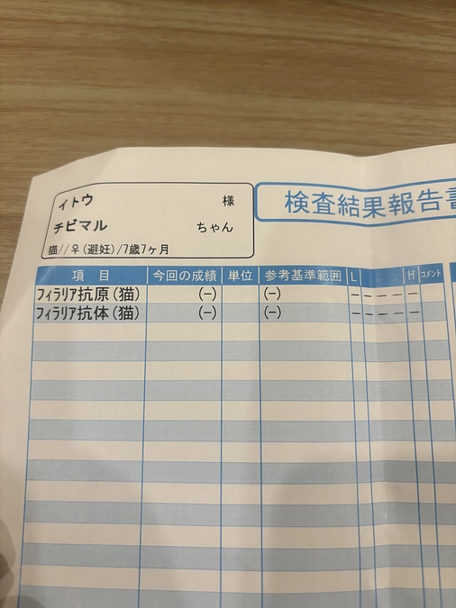 フィラリアの検査結果