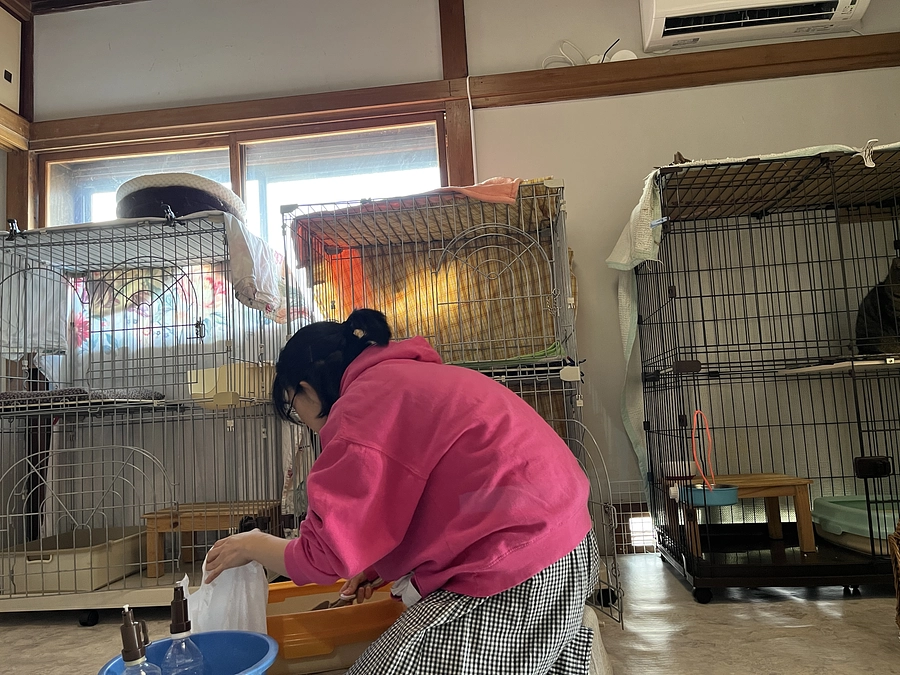 シェルターボランティアのルーティン