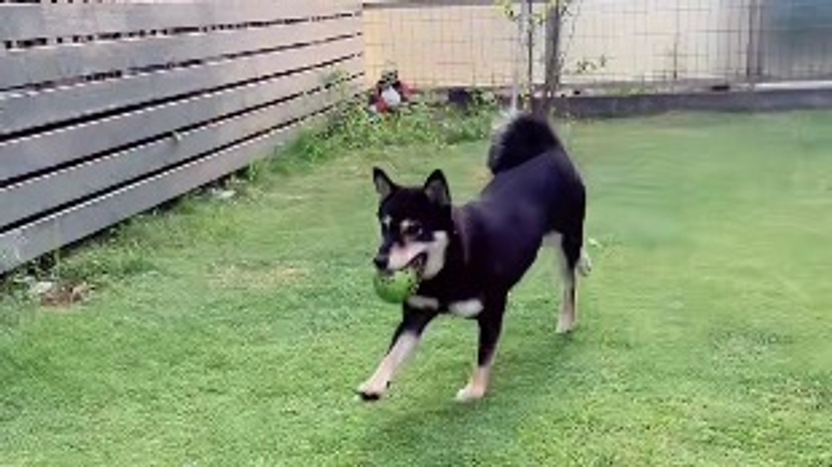 達成まであと36,000円！