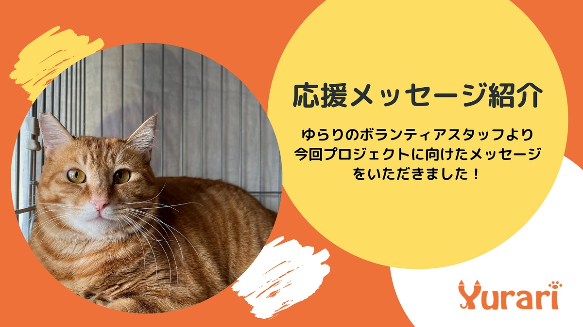 ゆらりボランティアスタッフからいただいた応援メッセージをご紹介します！