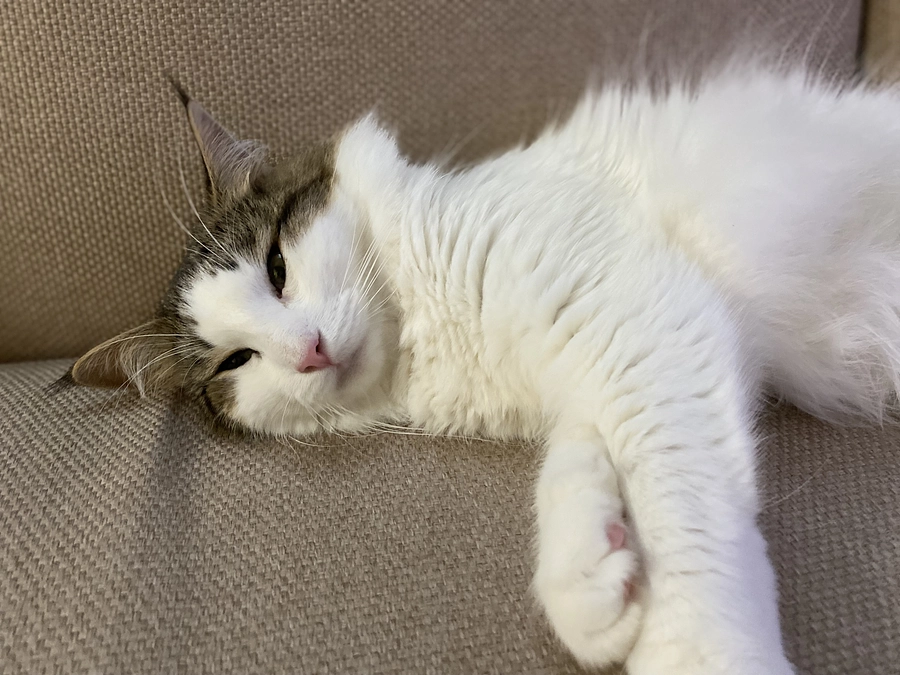 血液検査結果・領収書