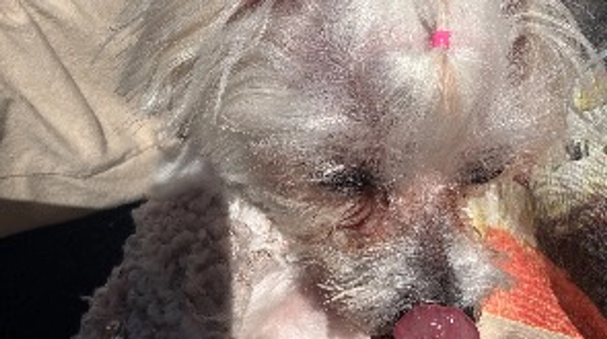 🚨残り33日🚨手術まであと8日‼️〜支援者様への御礼〜