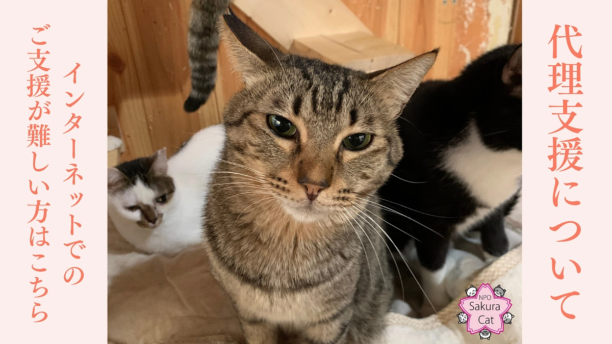 代理支援について 〜インターネットでのご支援が難しい方へ〜	