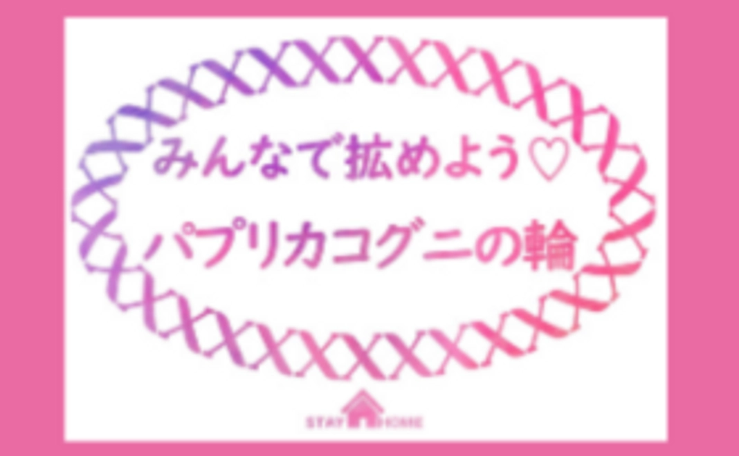 【パプリカコグ二を拡めよう！】1,000円応援コース