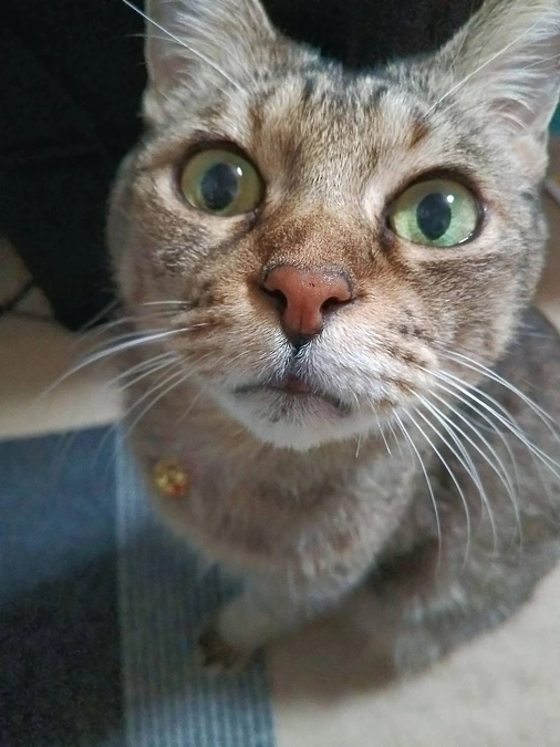 残り6日・達成率42％・目標まで13万9千円です