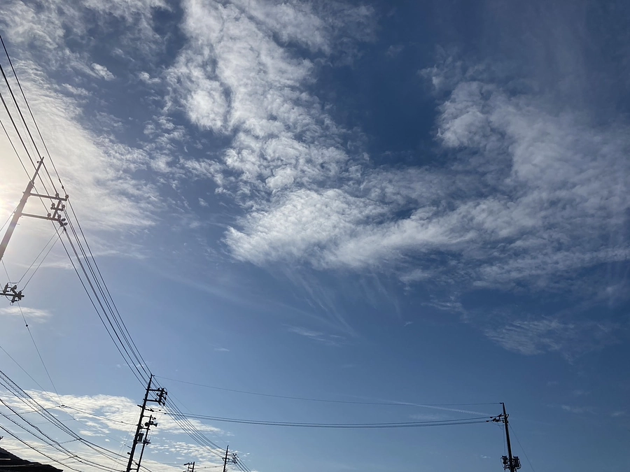 【ご報告】MFJカップ最終戦 鈴鹿Roundについて