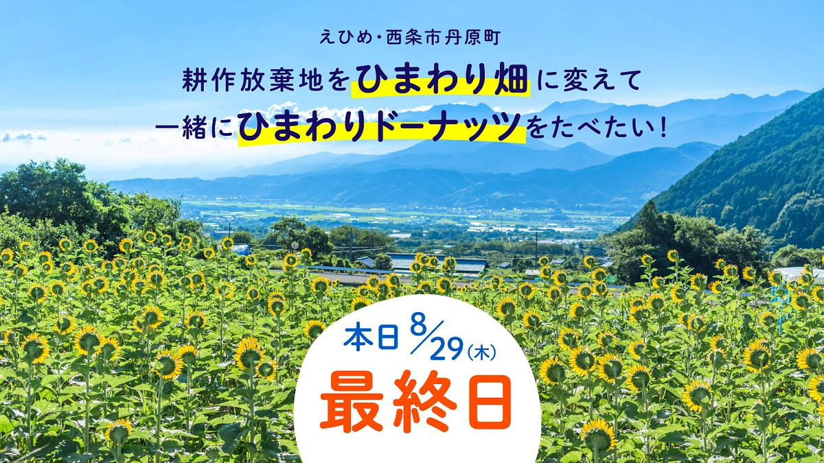 🌻8/29 本日最終日
