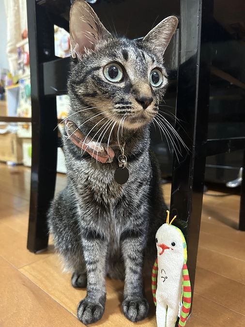 活動報告をするということ。