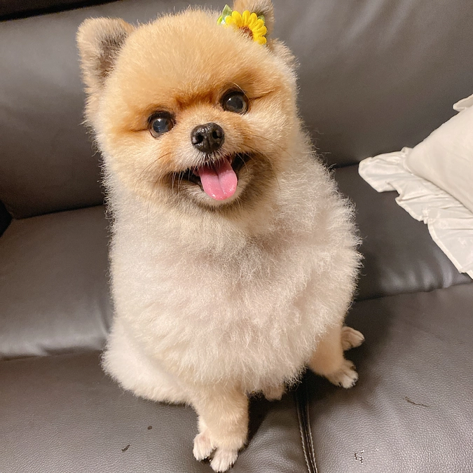 病院に行ってきました。