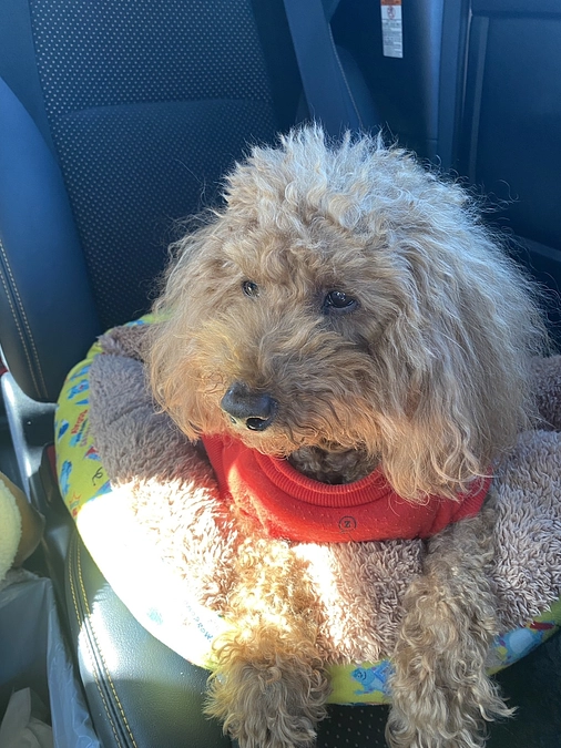 順調に回復しております！