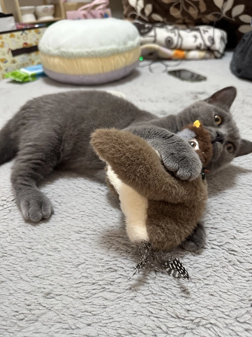 投薬治療を始めて67日目