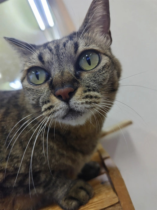 プロジェクト成立のご報告