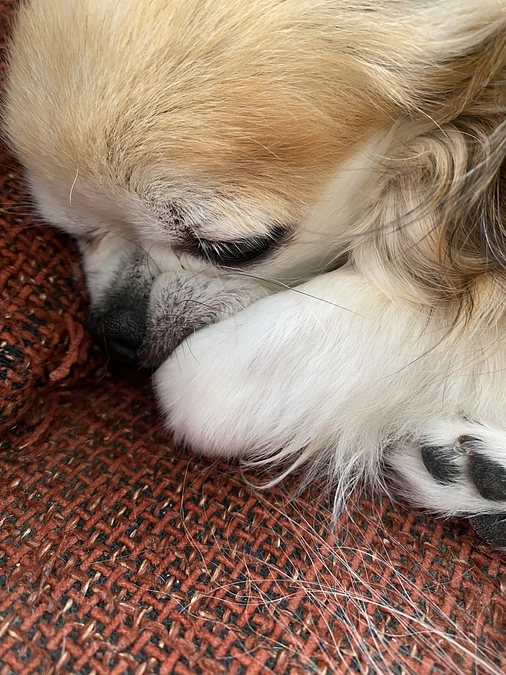 病気になってから…