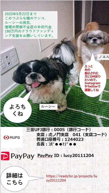 代理支援にPayPayを追加しました。