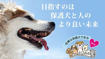映画『吾輩は保護犬である』完成！映像の力で命の尊さを全国に伝えたい のトップ画像