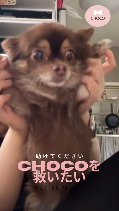 残り12日になりました🔥