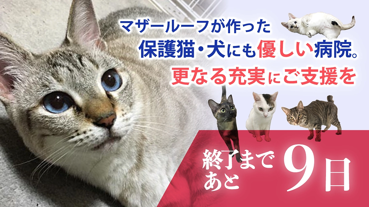 【残り9日！】病院設備を充実させるために「目標金額300万円」としてプロジェクトに挑戦してます！