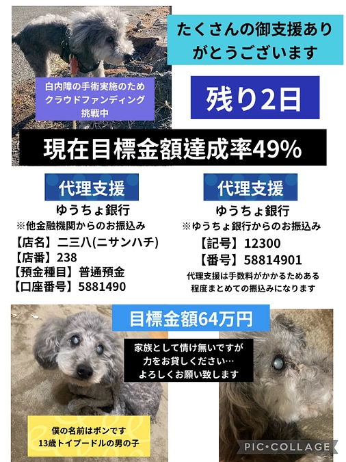 代理支援について②