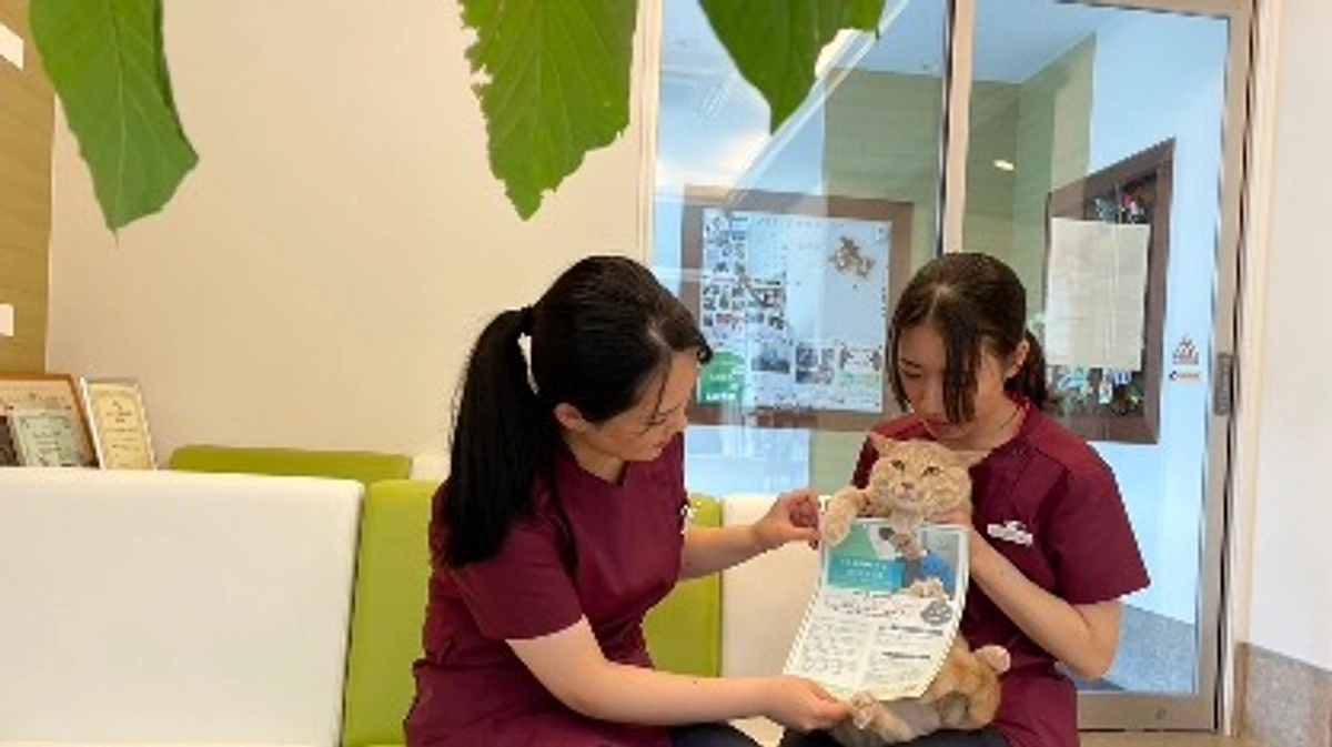 【クラファン活動報告⑲】応援コメントのご紹介です