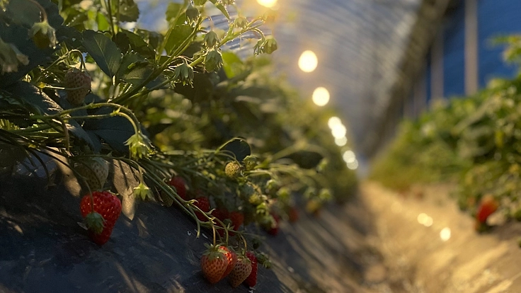 設備投資で何十年先も続く農家を目指す！