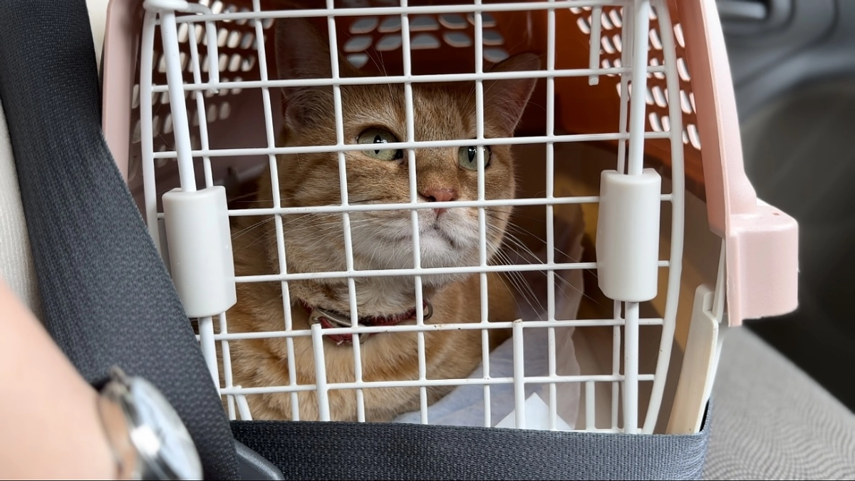 検査結果が出ました