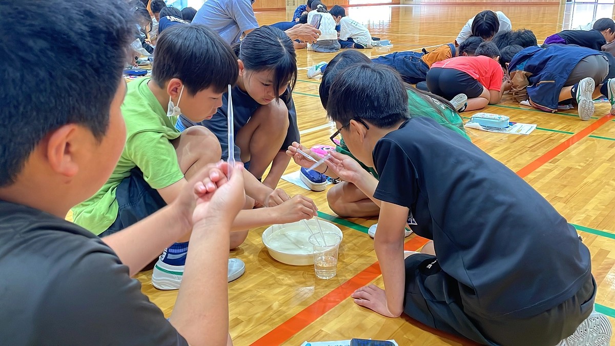 【海藻school2024スタート✨】「私の海藻、大きくなあれ！」学校内で海藻を養殖！《後編》