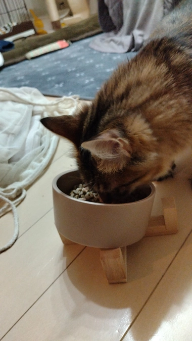 退院時の様子をInstagramで投稿しました！