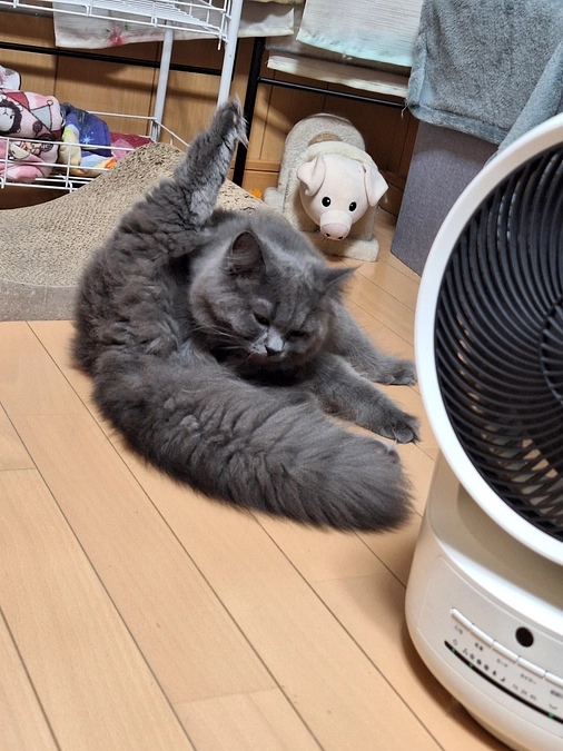 投薬70日目☘️