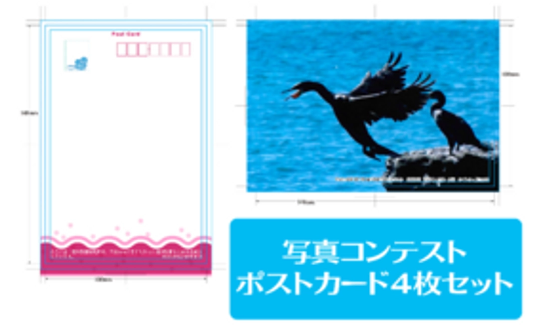 ポストカード4枚セット