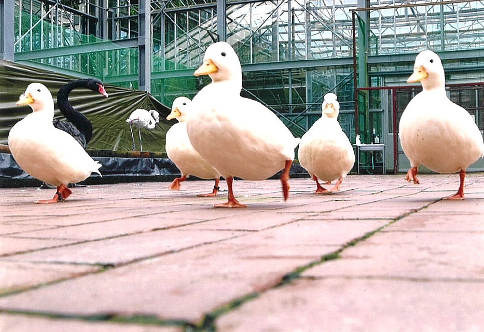   1月20日、ついに最終日を迎えました。あと12時間、ゴールに向かって歩き続けます。