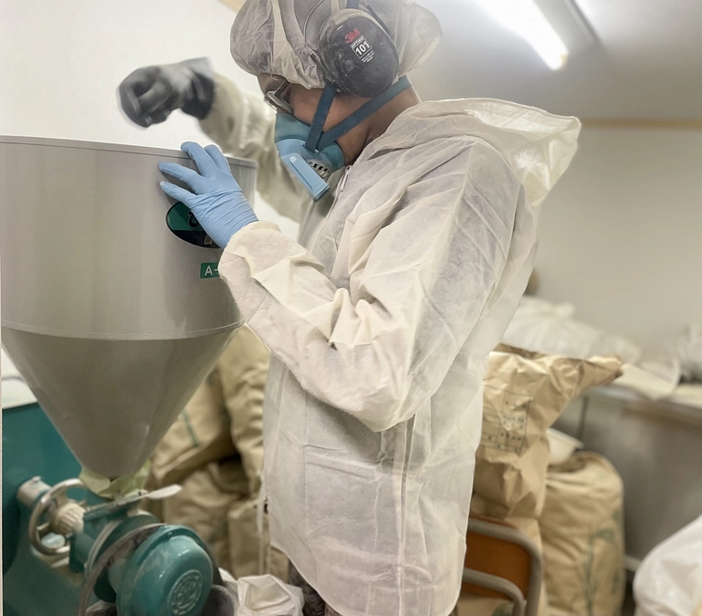 【ヒシ茶】製造進捗と今後の販売予定について『 猪苗代湖産ひし茶』~福島県・お茶~