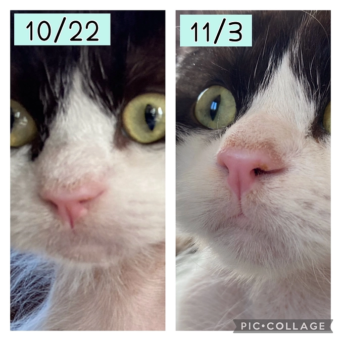 11/3のテオくんの様子