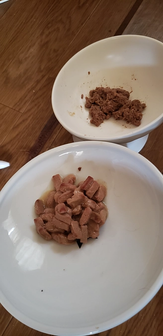 口内炎薬と肝臓薬