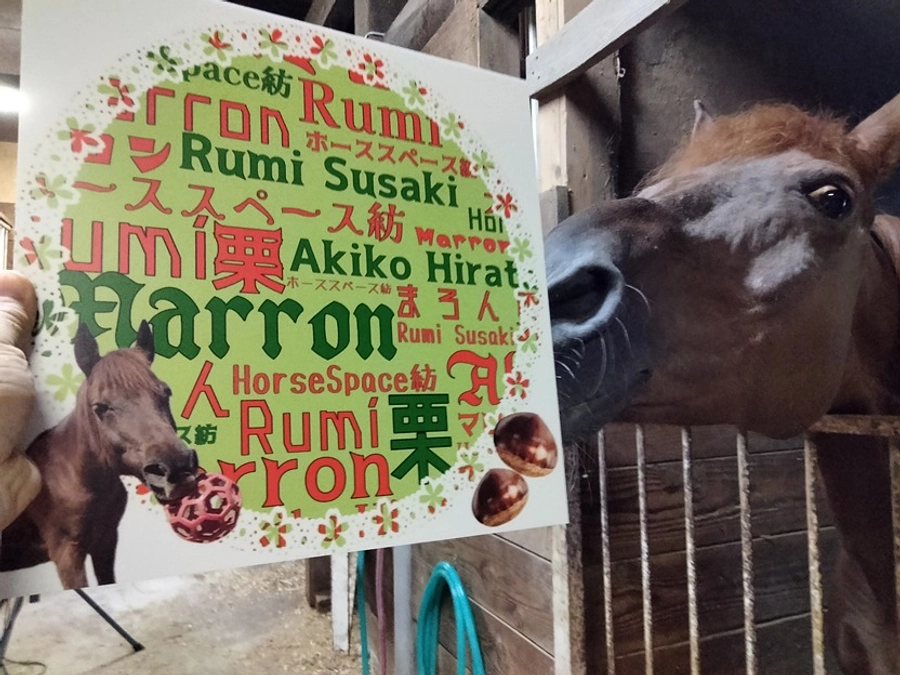 夏のご報告と馬房のプレート完成のご報告です！