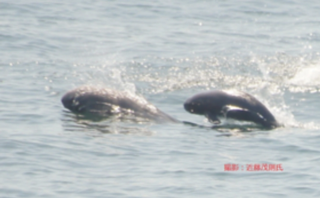 リターン気にせず応援してくださる方