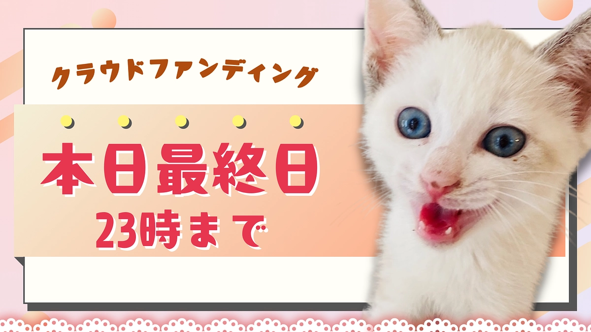 カウントダウン ＼終了まで、いよいよ残り1日！／明日23時まで