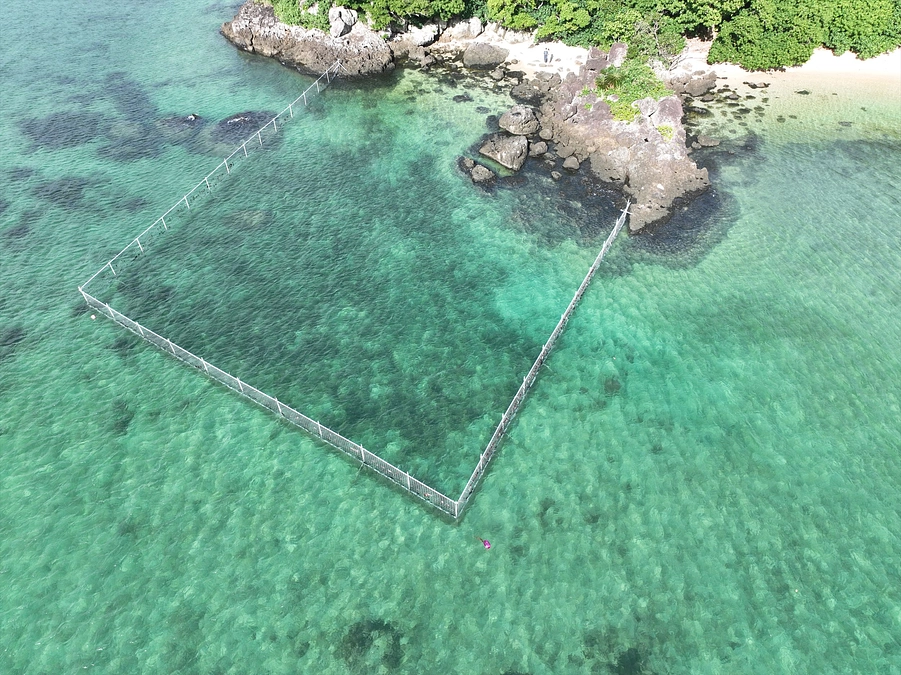 ドローンで撮影しました