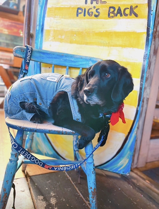 暖かいご支援ありがとうございました！