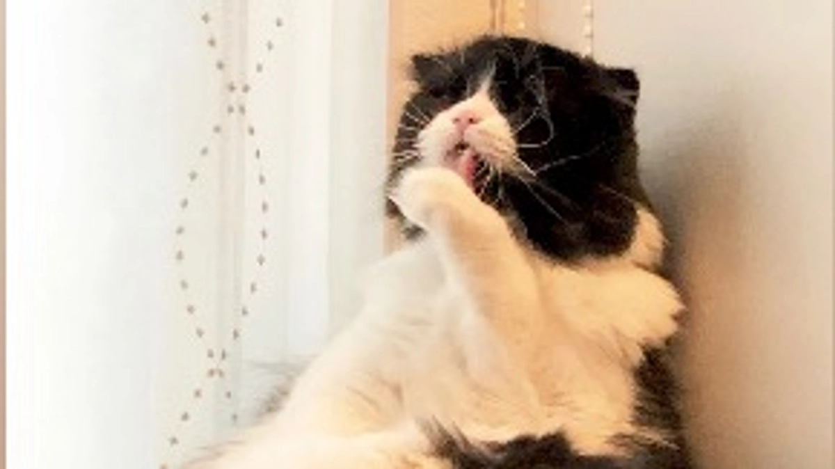 プロジェクト終了まであと5時間きりました