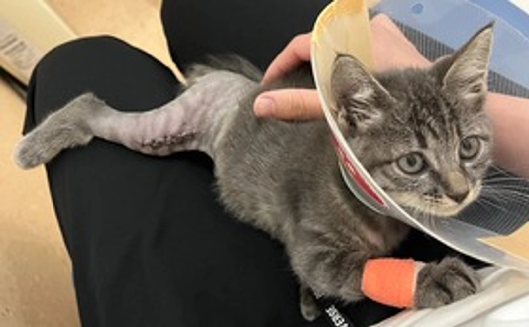 ご支援よろしくお願いします２