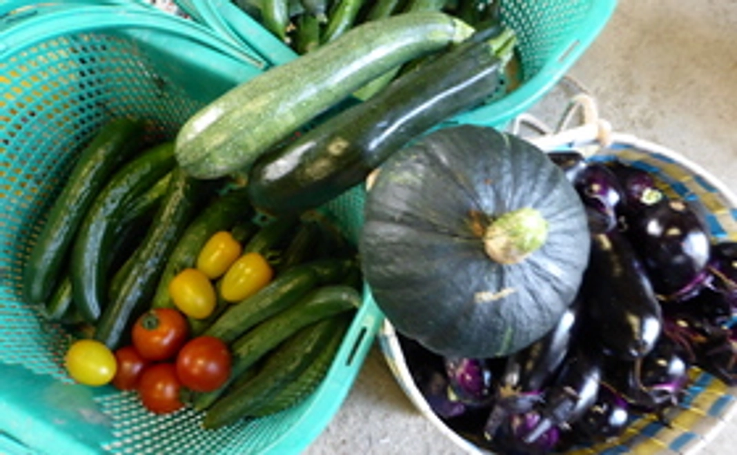 減農薬栽培つや姫(3合)や野菜の詰め合わせ