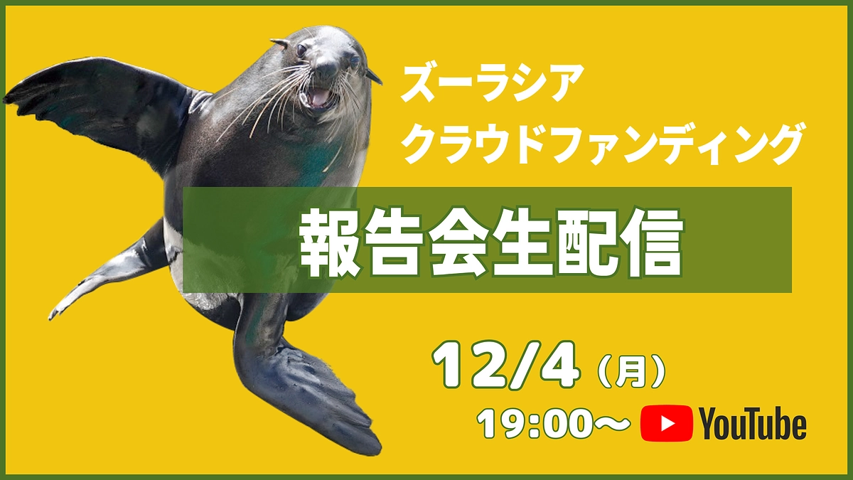 【生配信のお知らせ】12/4（月）19時〜 完成報告会