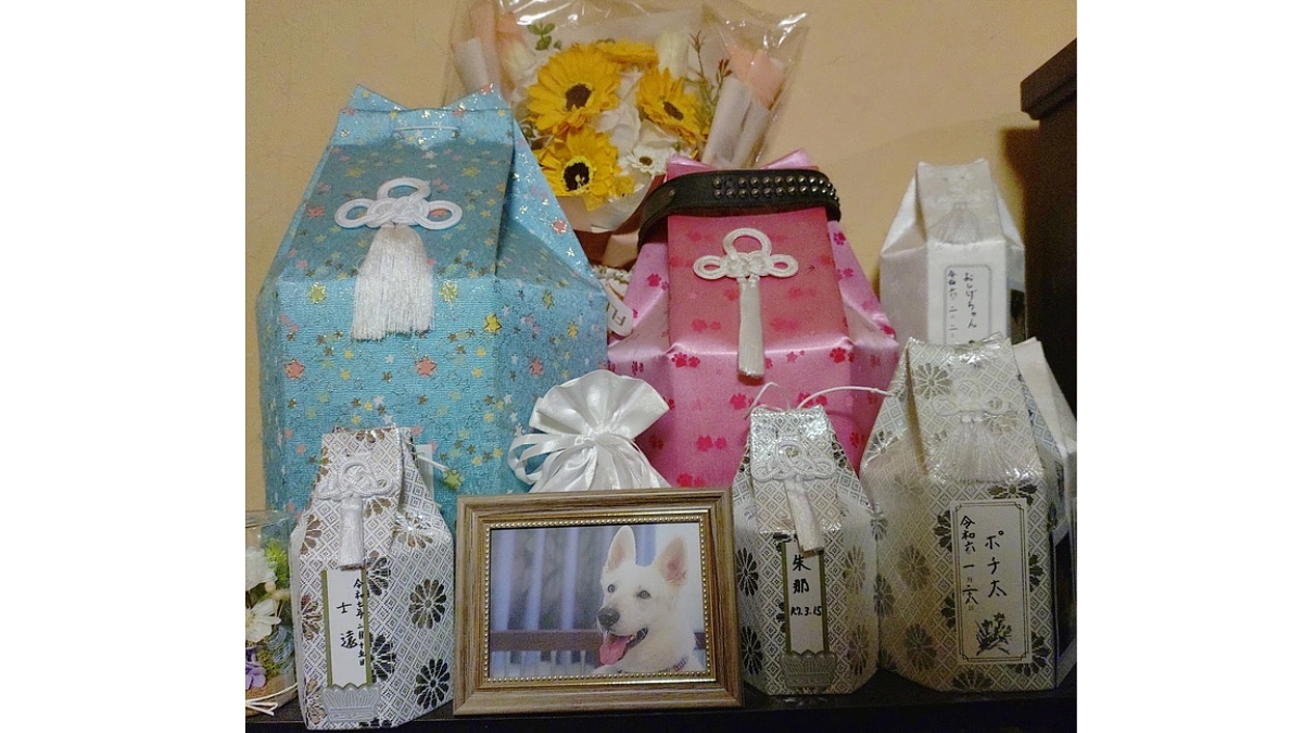 【第一関門30％まであと11万円！】おかえり朱那。頑張らなくてはならない、と気持ちに整理をつけて。