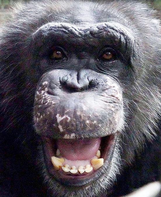 あと1日：新たなクラウドファンディング開始！