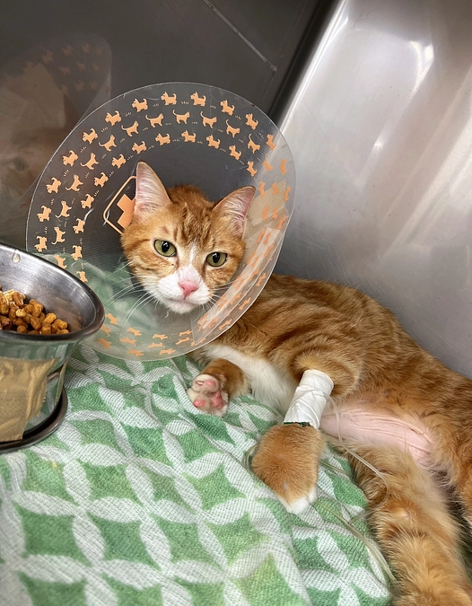 伝えたいことがたくさんありすぎて