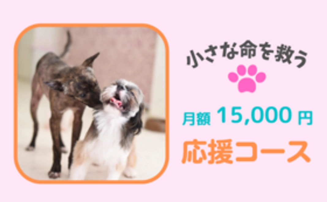 毎月応援！15,000円コース